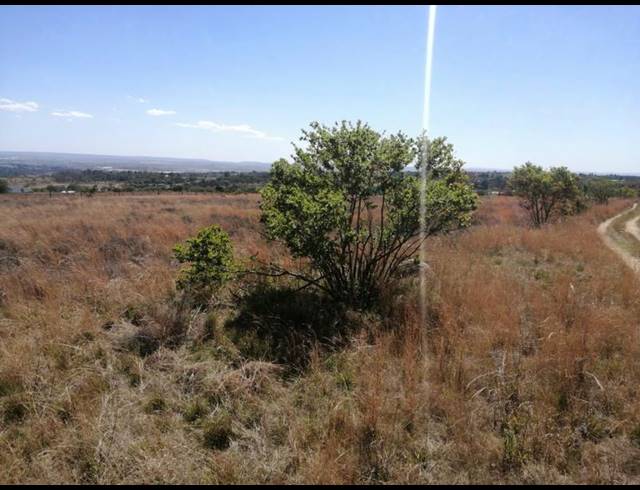 LAND FOR SALE IN BLUE HILLS